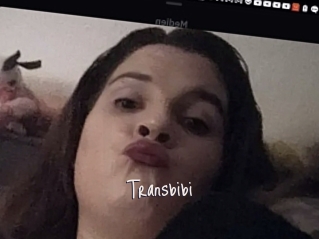 Transbibi