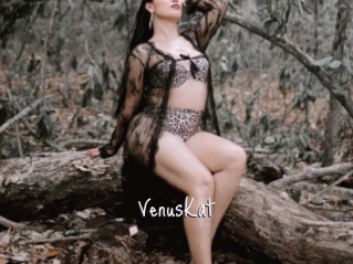 VenusKat