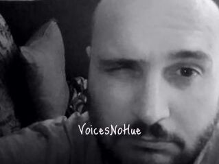 VoicesNoHue