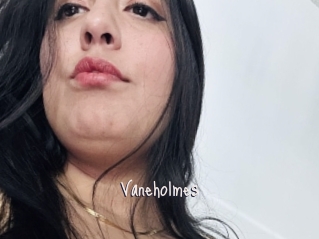Vaneholmes