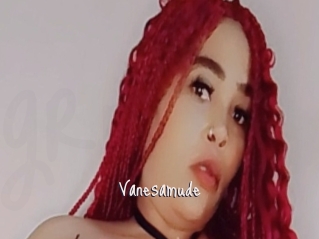 Vanesamude