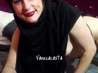 Vanezacasta