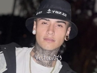 Vectorx073