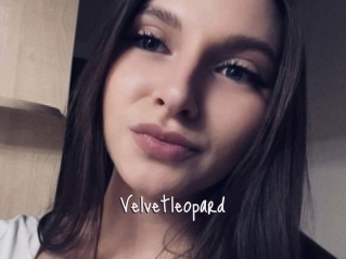 Velvetleopard