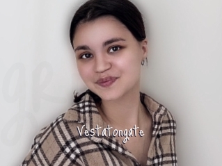 Vestatongate