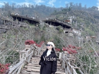 Vicion