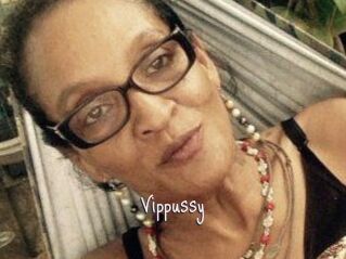 Vippussy