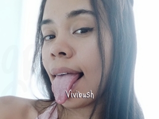 Vivibush