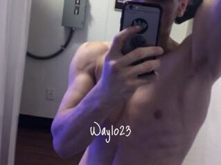 Waylo23