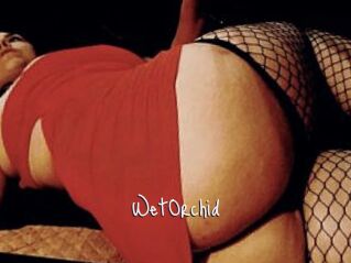 WetOrchid