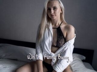 White_Funny_Bunny