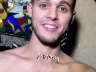 WildDavey