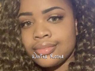 Winter_Rosea