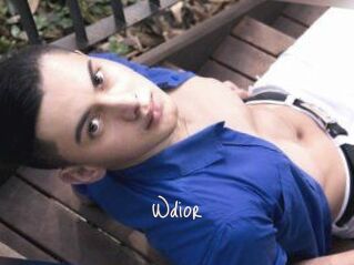 Wdior