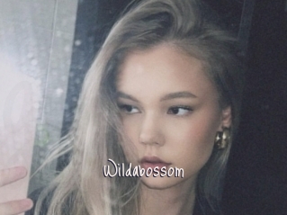 Wildabossom