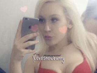 Xoxosnowbunny