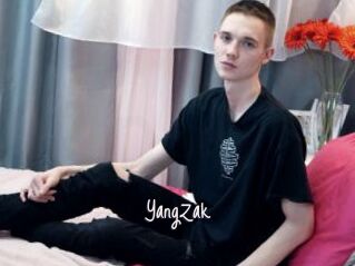 YangZak