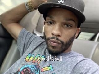 YourMrBull