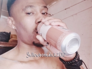 Yellowbonedick2010