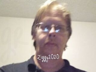 Ziggy2020