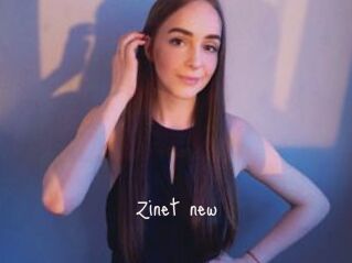 Zinet_new