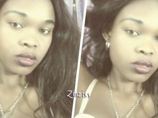 Zinzixx